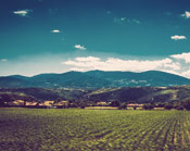 短信轰在线网页版入口